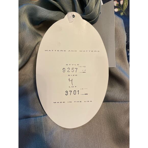 Watters & Watters Gown Dress Sleeveless Draped Neckline Light Green Size 4 NWT - Picture 6 of 7